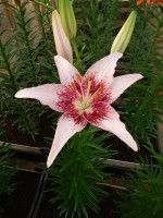 [4013 Dotcom No202.JPG]